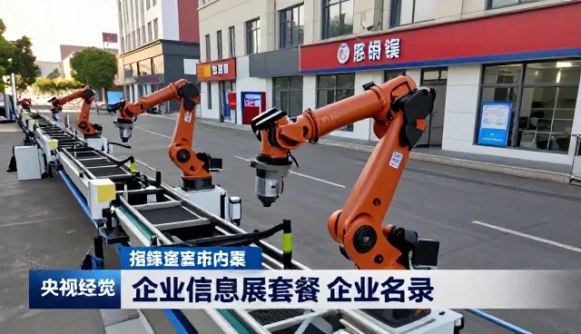 企业名录展示在供需资源对接中的常见问题与应对策略